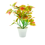 Artificial Plants with Pot Showcase Decoration Plants Leaf | Fake Plant | Artificial Plants for Home Decor Office Gifting Plants Decorative Potted Plants (RV-AP19)